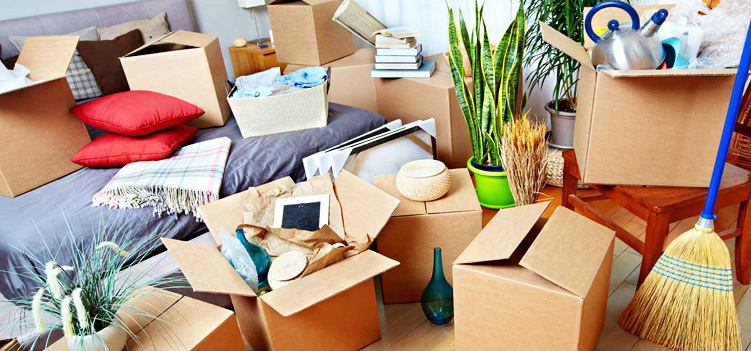 History of Packers and Movers Industry